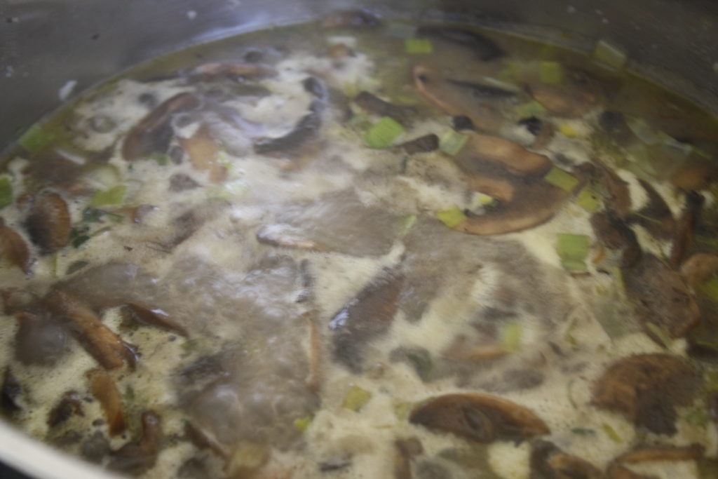 Mushroom soup