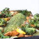 Roasted salmon with fennel, potatoes and kale